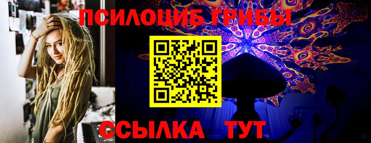 Галлюциногенные грибы Cubensis Гусь-Хрустальный