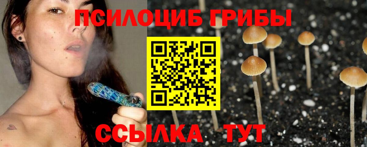 Галлюциногенные грибы ЛСД  Галлюциногенные грибы GOLDEN TEACHER  Гусь-Хрустальный  Вход с VPN 